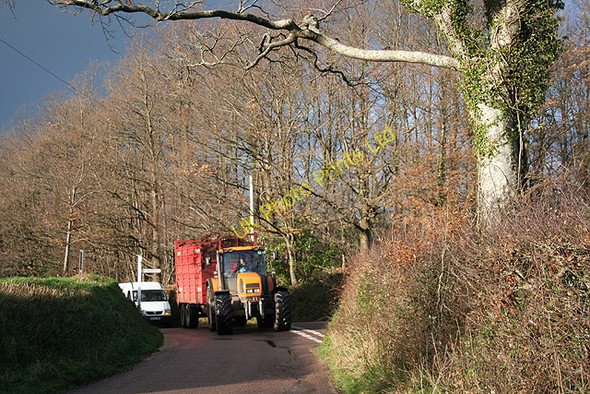 Photo 6"x4" Widworthy: near Widworthy Hill Widworthy c2006