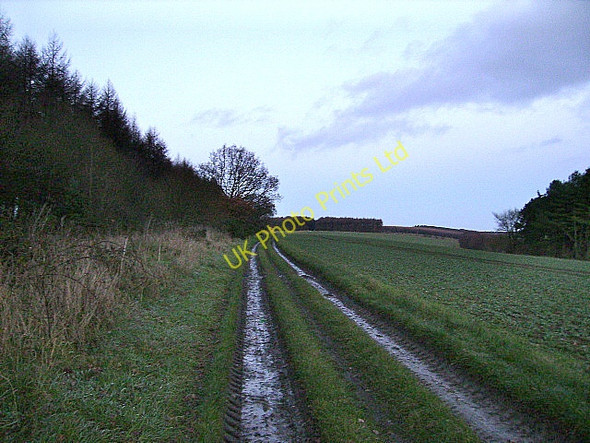 Photo 6"x4" Track on Stonygate Moor Low Dalby c2006