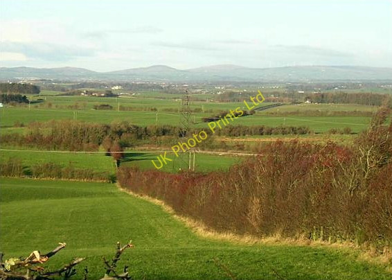 Photo 6"x4" Red Hedge Near Gateside Craigie\/NS4232 c2006