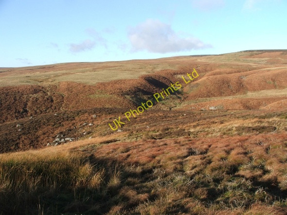 Photo 6"x4" Game Ing Flat. Gate Up Gill c2006