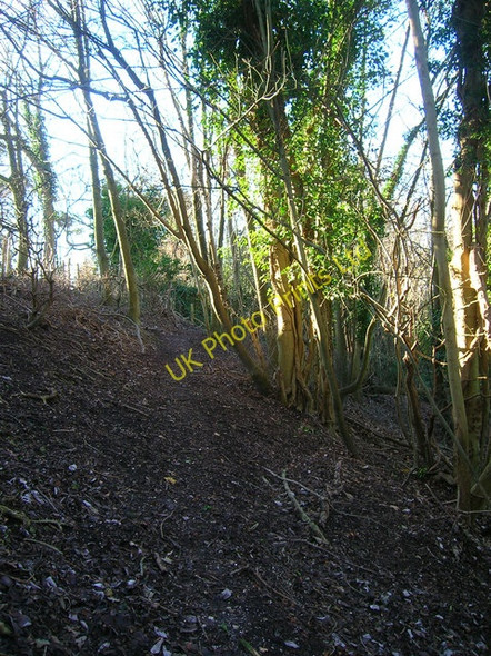Photo 6"x4" Footpath, Malling Down Nature Reserve Lewes c2006