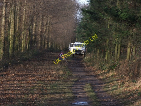 Photo 6"x4" Wakefield City Council Landrover in Kings Wood. Newmillerdam c2006