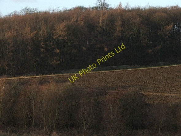 Photo 6"x4" The Garden Plantation. Notton\/SE3413 c2006