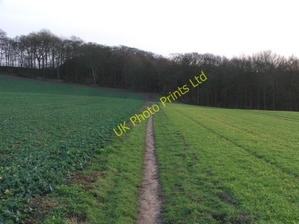 Photo 6"x4" Chevet Park Farmland. Newmillerdam c2006