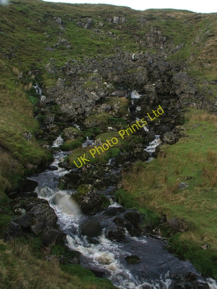 Photo 6"x4" Spring on Stake Moss. Cray\/SD9479 c2006