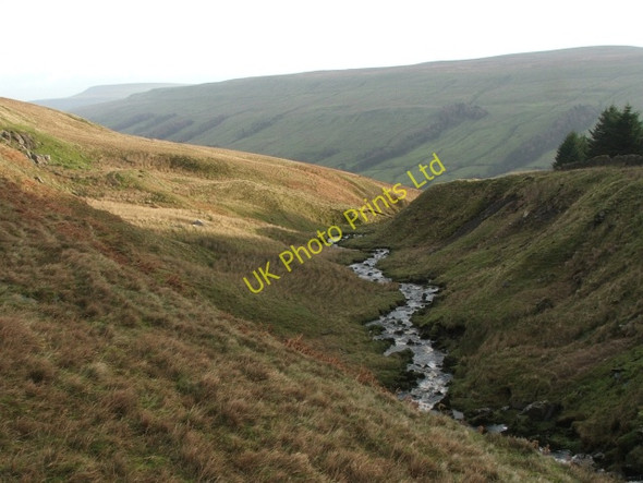 Photo 6"x4" Back Gill. Cray\/SD9479 c2006