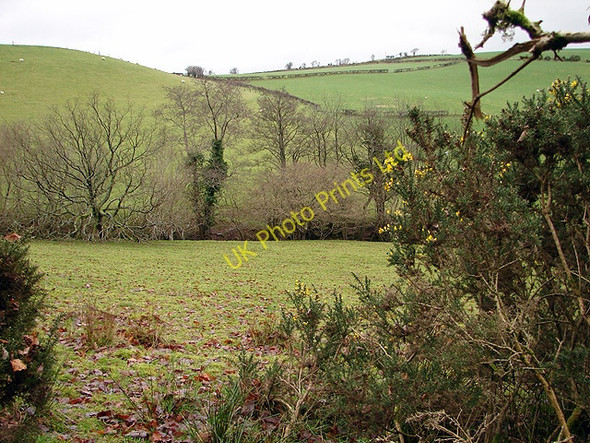 Photo 6"x4" Farmland at Llanerch-yr-oen Abermagwr c2006