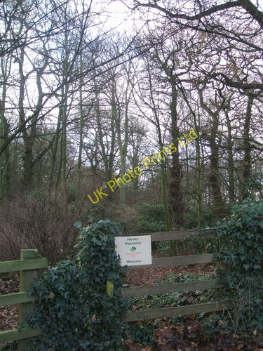 Photo 6"x4" Himley Plantation Himley c2006