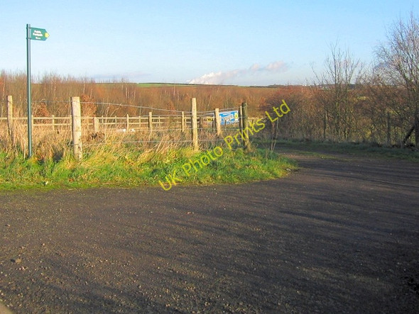 Photo 6"x4" Footpath near the A42 Diseworth c2006