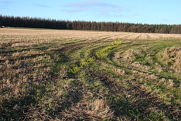 Photo 6"x4" Stubble Field Mulben c2006