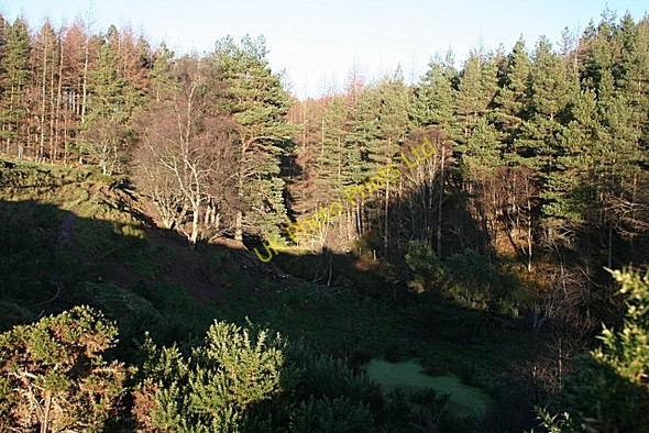 Photo 6"x4" Gorliach Burn Mulben c2006