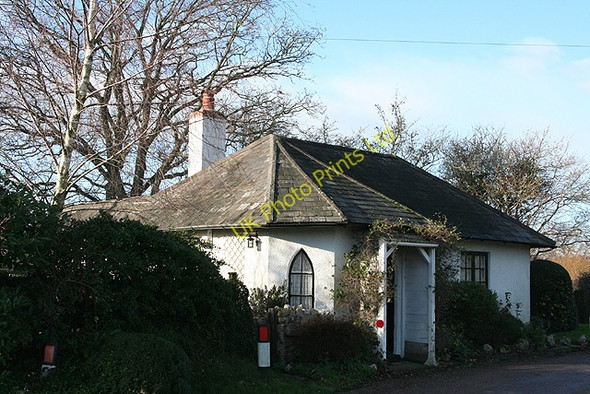 Photo 6"x4" Musbury: Turnpike Cottage Hampton\/SY2696 c2006