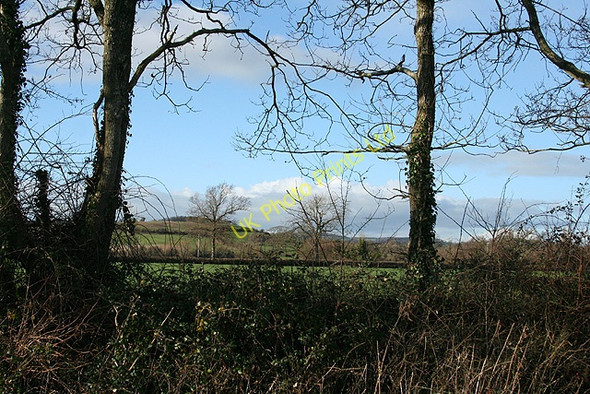 Photo 6"x4" Musbury: Waterford Lane Kingsdon\/SY2594 c2006