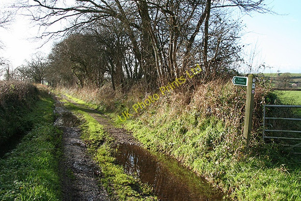 Photo 6"x4" Musbury: Deadhorse Lane Kingsdon\/SY2594 c2006