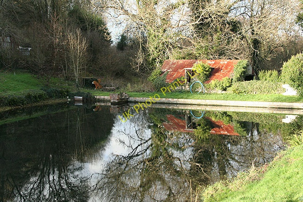Photo 6"x4" Combpyne Rousdon: pond in Combpyne village Combpyne c2006