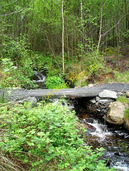 Photo 6"x4" Burn in Kirroughtree Forest Stronord c2007