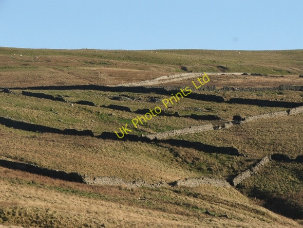 Photo 6"x4" Fields at Shaw Gate. Stalling Busk c2006