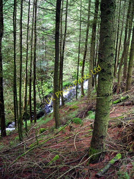 Photo 6"x4" Waterfall in Kirroughtree Forest Stronord c2007