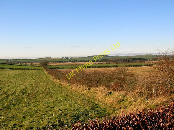 Photo 6"x4" Hedge Near Barmoorhill Farm Tarbolton c2006