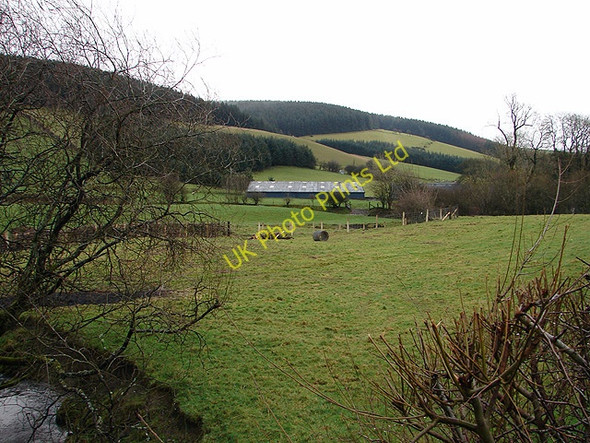 Photo 6"x4" Farmland at Dolbachog Staylittle\/Penffordd-L\u00e2s c2006
