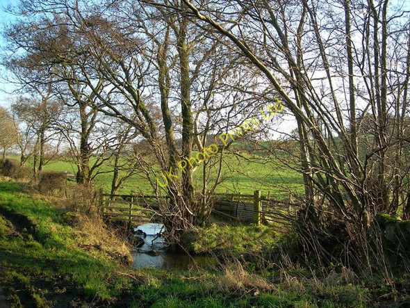 Photo 6"x4" Rig Burn Crosshill\/NS3206 c2006