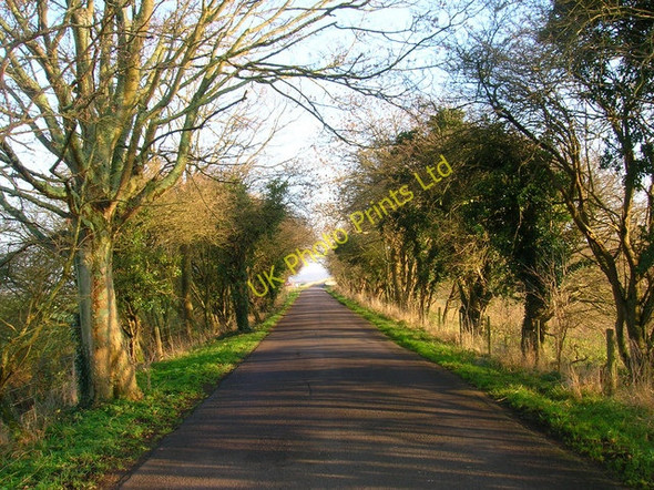 Photo 6"x4" Western Approach to Greatham Bridge Coldwaltham c2006