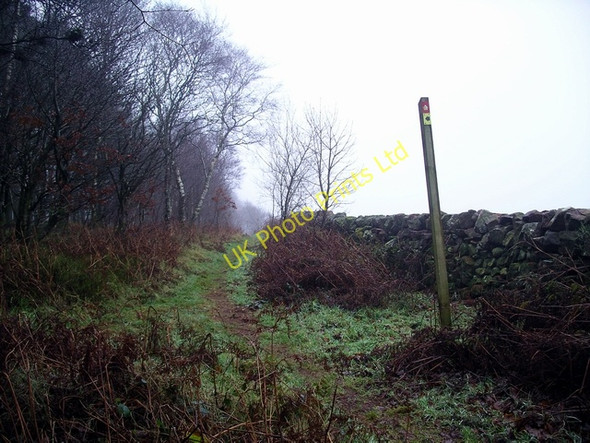 Photo 6"x4" Which way? Brydekirk c2006