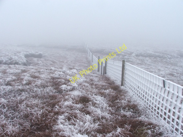 Photo 6"x4" Frozen Fence near Bull Bogs. Cotterdale c2006