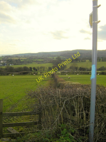 Photo 6"x4" Public footpath south of Owain Glyndwr public house Mold\/Yr Wyddgrug c2006