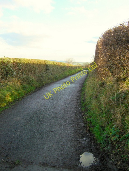Photo 6"x4" Ffordd y Fron, Nercwys Mold\/Yr Wyddgrug c2006