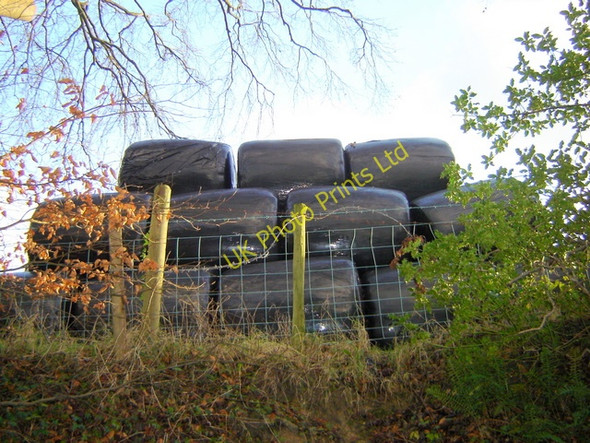 Photo 6"x4" Silage heap towering over Ffordd Las, a sunken lane near Nercwys Mold\/Yr Wyddgrug c2006