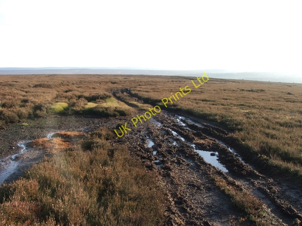 Photo 6"x4" Footpath across Wheeldale Moor. Rutmoor Beck c2006