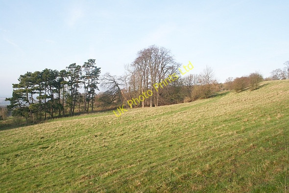 Photo 6"x4" Lower Slopes of Bredon Hill Kemerton c2006
