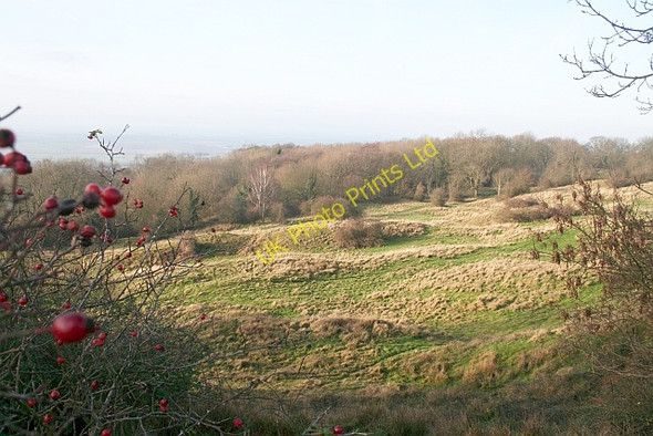 Photo 6"x4" Aldwick Wood Kemerton c2006
