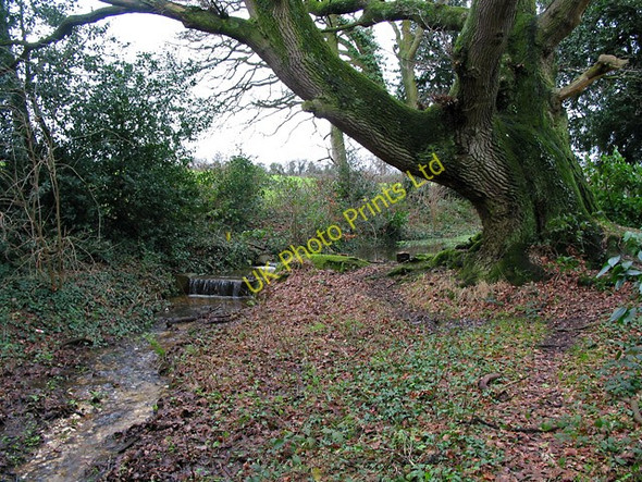 Photo 6"x4" Stream feeding lakes at Stanbridge Earls School, nr Romsey Romsey c2006