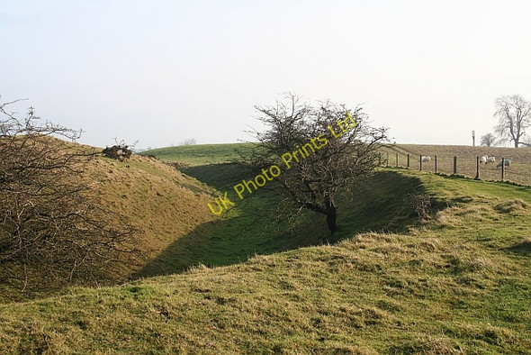 Photo 6"x4" Bredon Hill Fort - Outer Ditch Great Comberton c2006