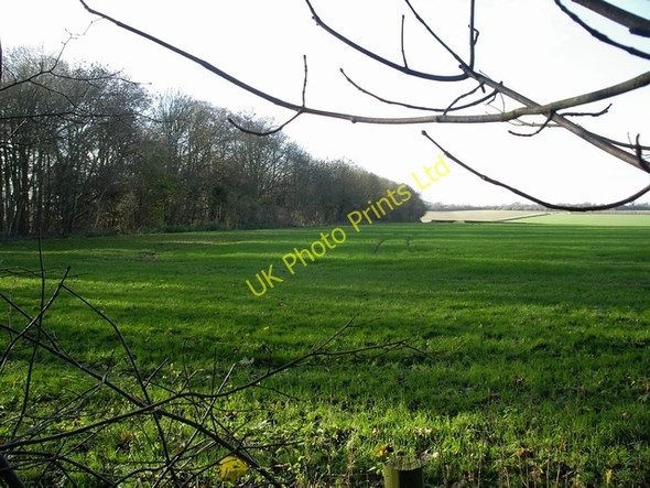 Photo 6"x4" Field to west of  Crawley Down Chilbolton Down c2006