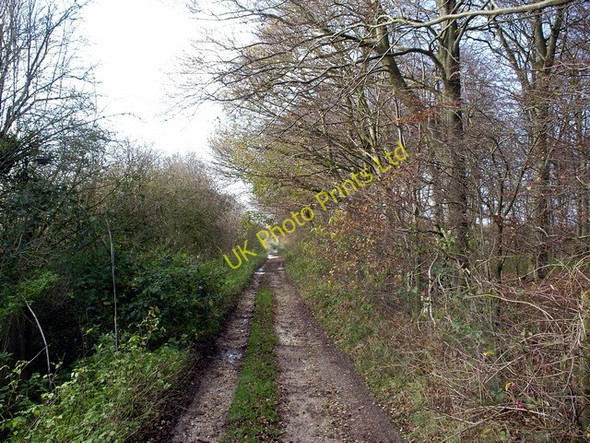Photo 6"x4" Track by Crawley Clump South Wonston c2006