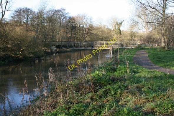 Photo 6"x4" Footbridge, St Helens, Thetford Forest Santon Downham c2007