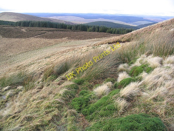 Photo 6"x4" Upland hillside Linhope\/NT4001 c2007