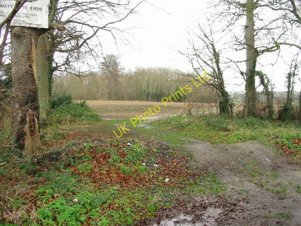 Photo 6"x4" View of woodland entrance Barfrestone c2007
