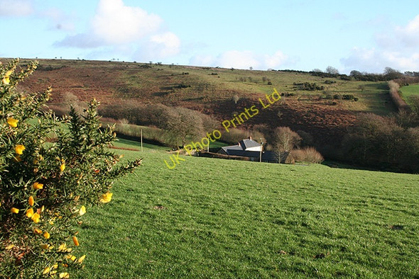 Photo 6"x4" Dulverton: towards Higher Spire Hawkridge c2007