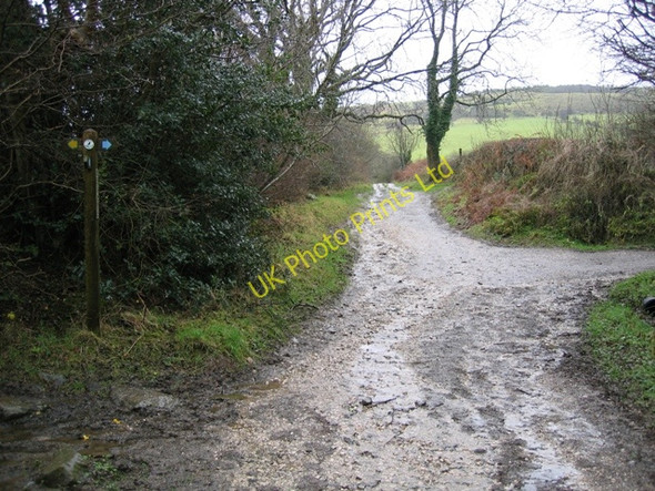 Photo 6"x4" The Clwydian Way\/Taith Clwyd and Ancient Tracks Pentre\/SJ1764 c2007