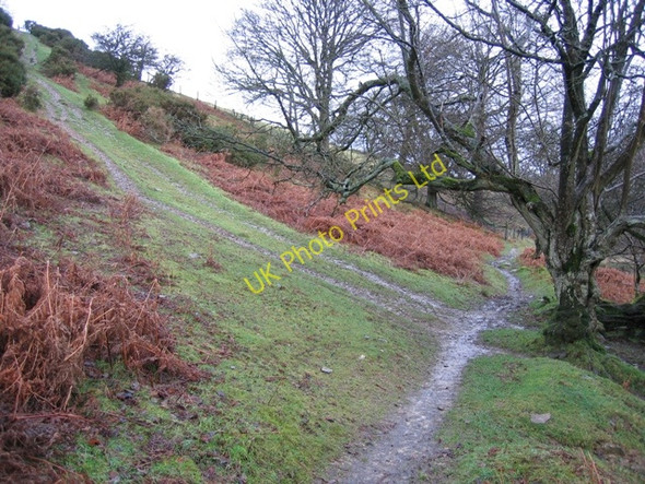 Photo 6"x4" Clwydian Way\/Taith Clwyd Pentre\/SJ1764 c2007 P1