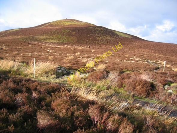 Photo 6"x4" Moorland below Pwll y Rhos Pentre\/SJ1764 c2007
