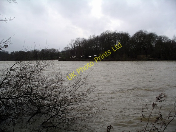 Photo 6"x4" Moorgreen reservoir Friezeland c2007