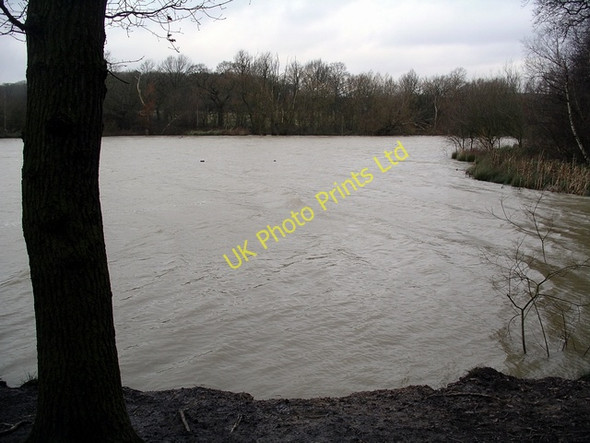 Photo 6"x4" Moorgreen reservoir Friezeland c2007 P1