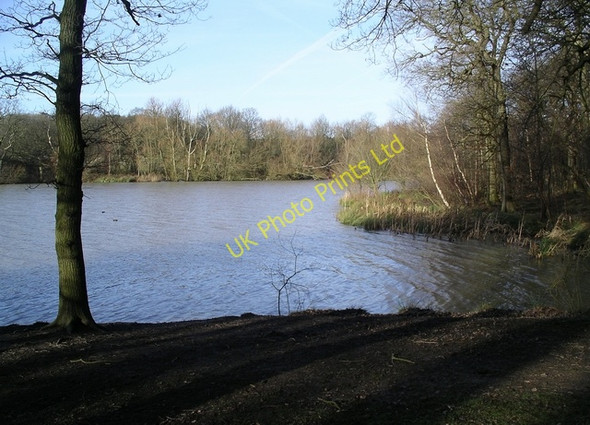 Photo 6"x4" What a difference a day makes! Friezeland c2007