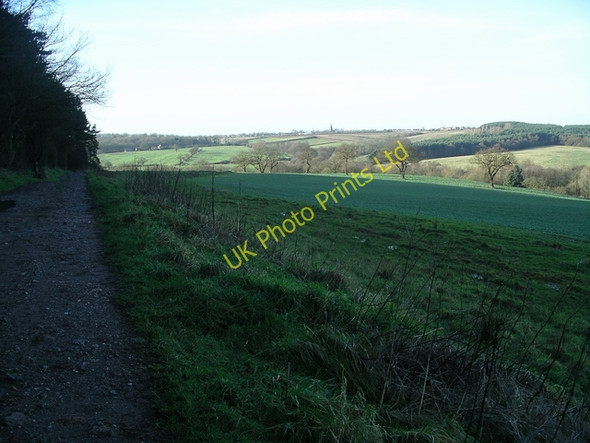 Photo 6"x4" Field by Morning Springs wood Friezeland c2007