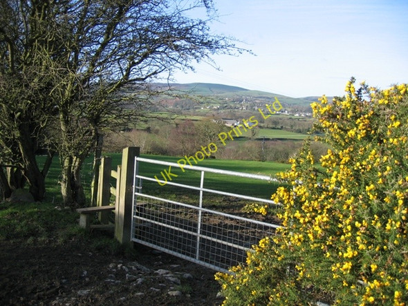 Photo 6"x4" Field Gate at Pantymwyn Pantymwyn c2007